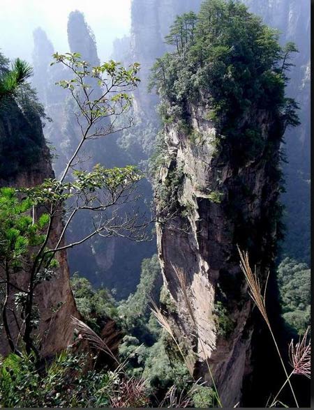 長(zhǎng)沙出發(fā)到張家界溶洞奇觀黃龍洞、國(guó)家森林公園、袁家界、峰林之王天子山三日游（早班）