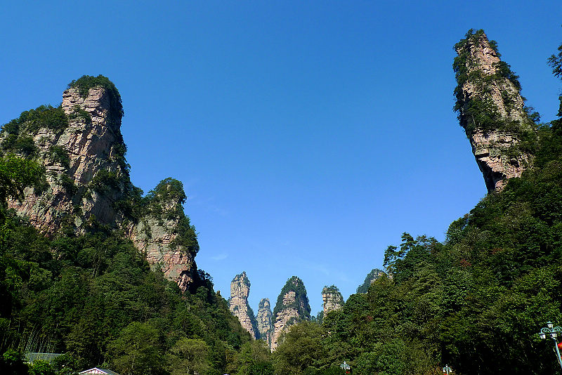張家界國(guó)家森林公園、黃龍洞、天門山、鳳凰古城純玩五日游