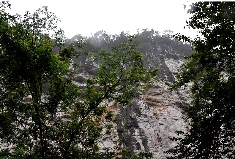 天泉山森林公園